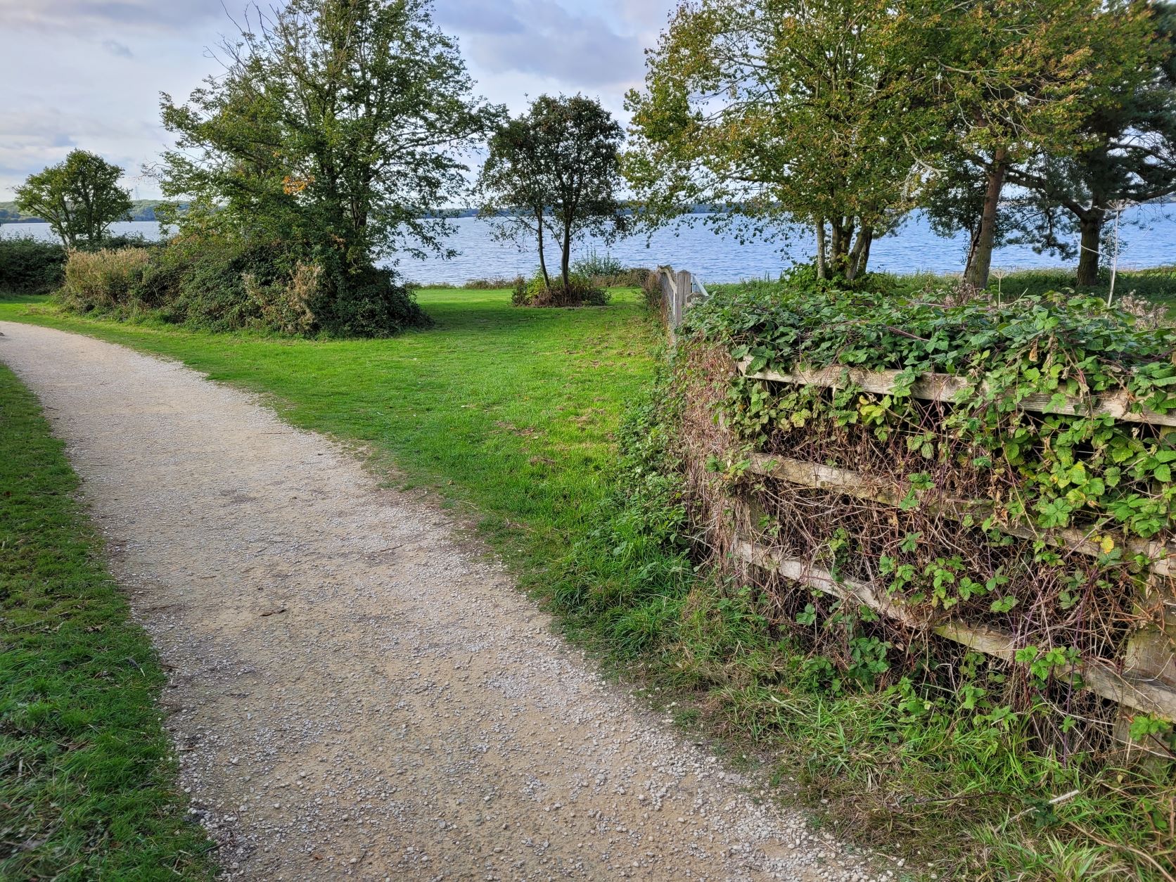 Grafham Water - Hoohaah Trail & Canicross